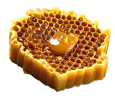 beeswax